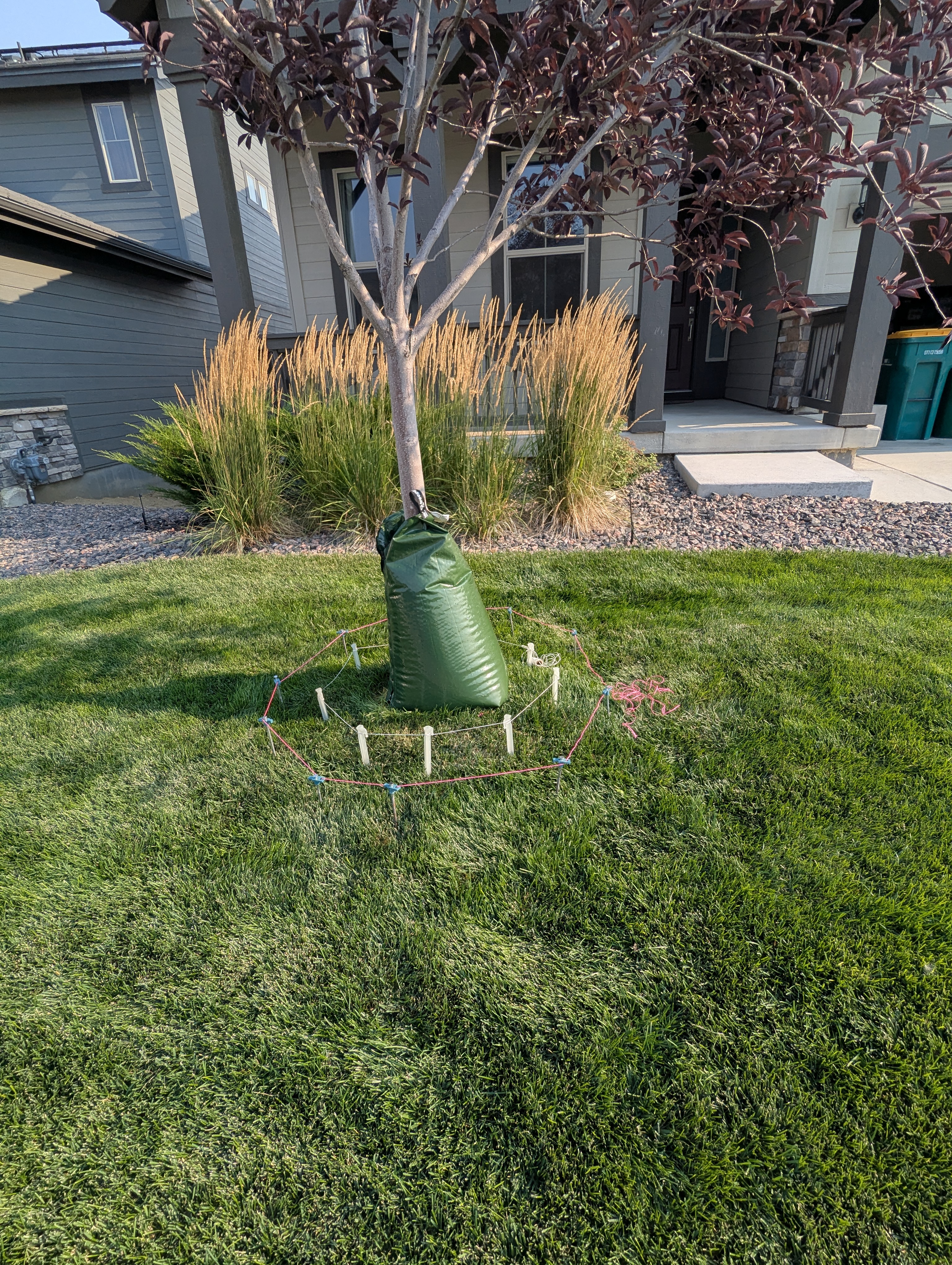 Tree Ring, Home Improvement, Morrison, Colorado